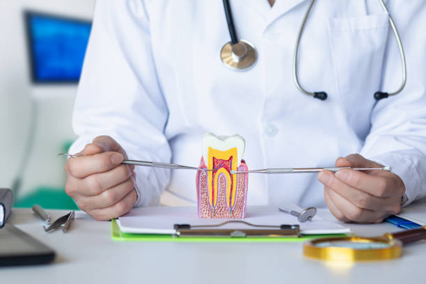 Best Emergency Dental Care for Abscessed Tooth in Milan, TN